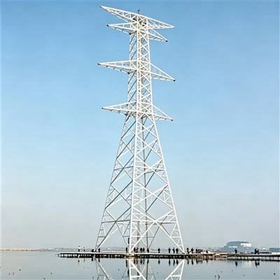 Terminal Steel Pole